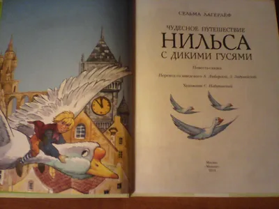 Иллюстрация 35 из 43 для Чудесное путешествие Нильса с дикими гусями -  Сельма Лагерлеф | Лабиринт - книги.