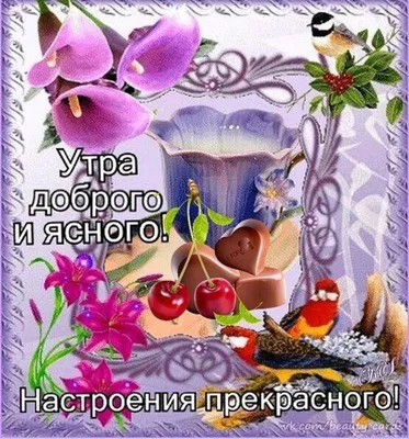 Необычные красивые картинки "Доброго дня!" (541 шт.)