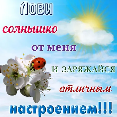 Красивые открытки "Доброго дня!" (2558 шт.)