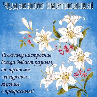 Всем хорошего настроения на день!❤️» — создано в Шедевруме