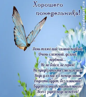 Картинки с пожеланиями доброго понедельника: пусть неделя будет удачной |  Пожелания | Дзен