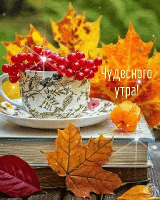 Картинки с надписями. Чудесного утра лета!.