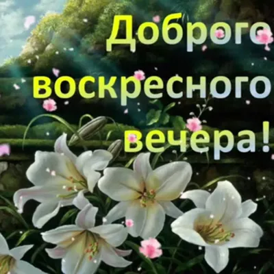 Красивые картинки "Добрый вечер!" (593 шт.)