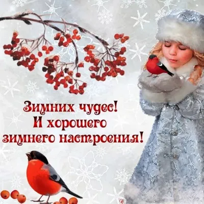 Картинка: Желаю хорошего зимнего дня И прекрасного настроения!