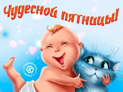 Чудесной пятницы | Веселые картинки, Смешные таблички, Открытки