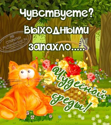 Чудесной среды! 💝 | Открытки, Доброе утро, Среда