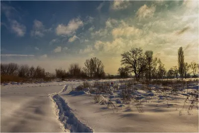 23 февраля-зимний день, чудесный!» (фотоотчёт) (8 фото). Воспитателям  детских садов, школьным учителям и педагогам - Маам.ру