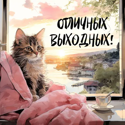 Открытки "Хороших выходных!" (253 шт.)