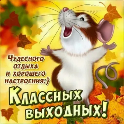 Открытки "Хороших выходных!" (253 шт.)