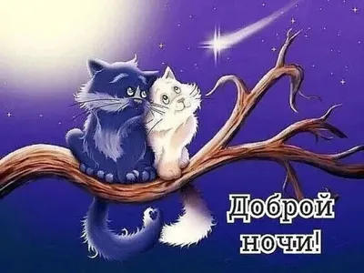 Чудной ночи! Сказочных снов!.