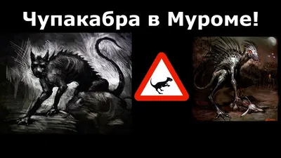 Чупакабра. Что это такое? - Рамблер/новости