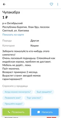 В управлении ветеринарии Новосибирской области опровергли существование  чупакабры -  - НГС