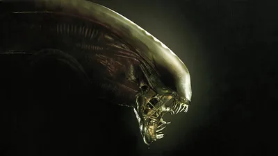 Обои Чужой, Alien, Aliens, Голова Чужого картинки на рабочий стол, раздел  рендеринг - скачать