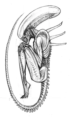 Чужой против хищника арты - 57 фото