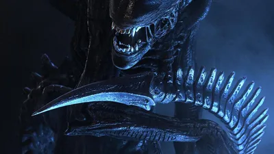 Xenomorph (Alien, Ксеноморф, Чужой) :: красивые картинки :: Чужой (фильм) ( Чужой (Alien), Чужие (Aliens), Чужой 3 (Alien 3), Чужой: Воскрешение (Alien  Resurrection)) :: AVP (Вселенная Чужих и Хищников, Aliens vs. Predator,  Чужой