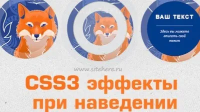 html - как мне анимировать эту png картинку, чтоб при наведении валики  передвинулись направо так чтобы был эффект рисования - Stack Overflow на  русском