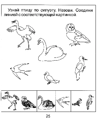 Дидактическая игра «Зимующие птицы» (6 фото). Воспитателям детских садов,  школьным учителям и педагогам - Маам.ру