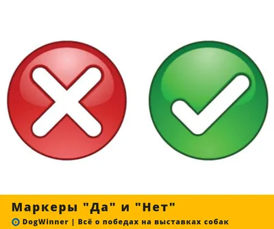 Сурков дал ответы «да, да, нет, да» в интервью о военной операции — РБК