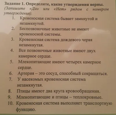 Слово Нет Написанное Словами Да Концепция Неопределенности И Выбора Черная  Доска И Надпись Белым Мелом — стоковые фотографии и другие картинки No -  английское слово - iStock