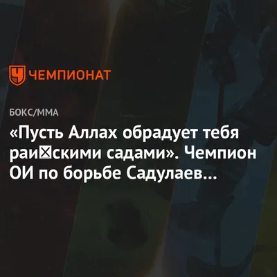 Пусть Аллах обрадует тебя райскими садами». Чемпион ОИ по борьбе Садулаев —  отцу Хабиба - Чемпионат