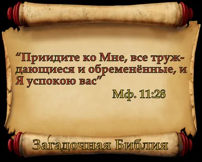 Олимпиада школьников «Высшая проба» | ВКонтакте