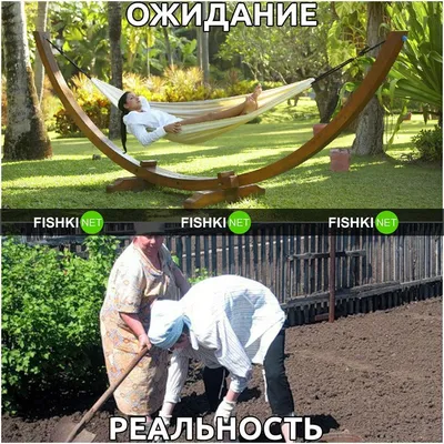 Дачный сезон . Смешные картинки