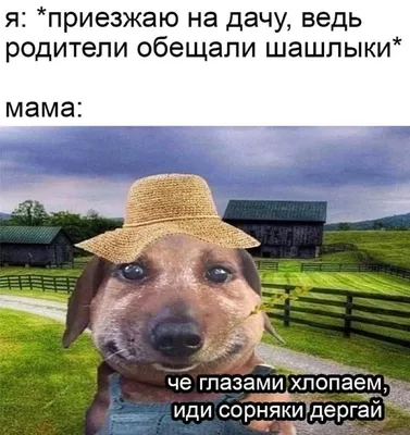 Дачный юмор