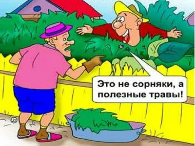 Дача | Пикабу