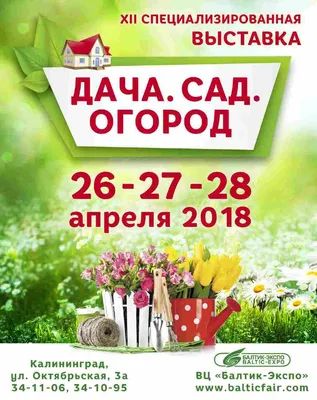 Выставка Дача. Сад. Огород 2018 - Bec39