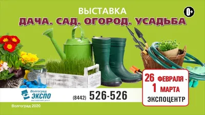 Лайфхаки для дачи и огорода: огород весной, как сделать сад, как сделать  грядки своими руками, газон на даче, идеи для дачи своими руками - 27  апреля 2023 - 