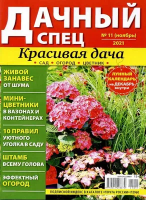 Основы сада и огорода с примерами и фото в Подмосковье и на Урале