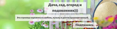 Зеленоград, новости: Дача, сад, огород... Как избежать проблем со здоровьем  в период работ на земле?