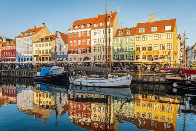 Дания намерена стать первой в мире 100% органической страной - Інфоіндустрія