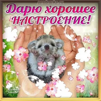 Дарю тебе хорошее настроение!