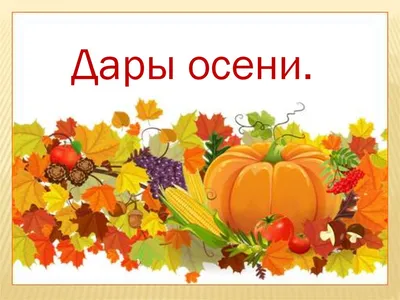 Плакат вырубной Дары осени 27,9х32,3 см 4453882 на Лесоторговой в Орле по  цене: 45 ₽