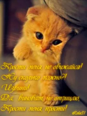 Картина с кошками "Давай мириться", 26х32см kasyanovart 6150584 купить за  542 ₽ в интернет-магазине Wildberries