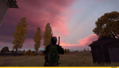 DayZ on Steam