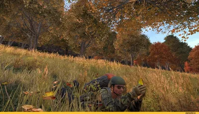 Обои DayZ Standalone Видео Игры DayZ Standalone, обои для рабочего стола,  фотографии dayz standalone, видео игры, - dayz standalone, видео, игры, dayz,  standalone Обои для рабочего стола, скачать обои картинки заставки на