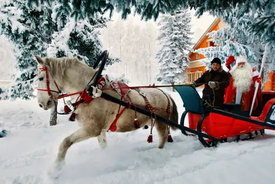 Вафельная картинка Дед Мороз на санях (ID#1731251007), цена: 30 ₴, купить  на 