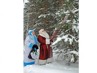 Открытка дед мороз в снежном волшебном лесу. открытка новый год. новогоднее  настроение | Премиум Фото