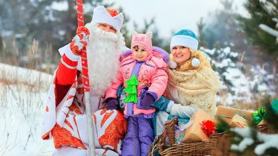 Дед мороз на санях,в лесу» — создано в Шедевруме