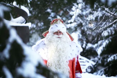 Дед Мороз и Снегурочка арт - 68 фото