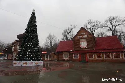 Поезд Деда Мороза приедет в Красноярск и Ачинск 19 ноября — Новости 7  канала, Красноярск