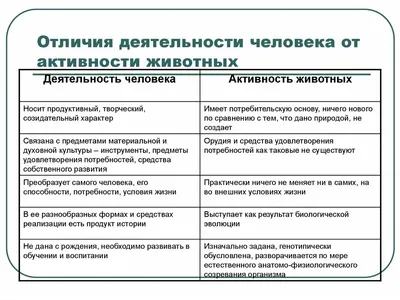 Информационная деятельность человека. Роль информационной деятельности в  современном обществе | Рефераты Информатика | Docsity