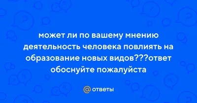 Практическая работа по теме "Основные виды деятельности" (6 класс)