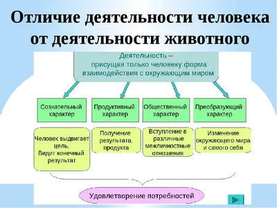 Деятельность человека • Образавр