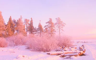 Зимний полдень. Фотограф Настя Братка