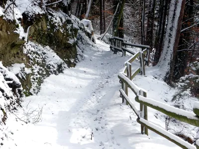 Вечерне-зимнее 💙 #зима #winter #волшебнаяпора #зимушказима #декабрь # природа #красотаприроды #красотавокругнас #снег #snow #letitsnow… |  Instagram