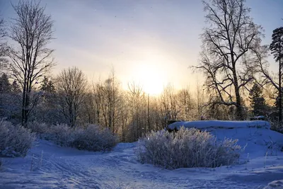 Обои Природа Зима, обои для рабочего стола, фотографии природа, зима, утро,  норвегия, домик, свет, снег, декабрь Обои для рабочего стола, скачать обои  картинки заставки на рабочий стол.