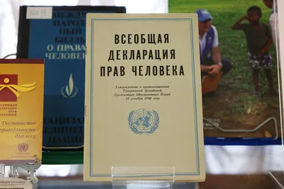 70 лет спустя Всеобщая декларация прав человека не теряет актуальности |  Новости ООН